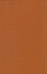 مادام بواری جیبی چرم